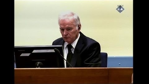 'Serbs fought in self defence', Mladic witness tells UN court