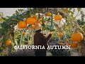 Slow autumn life in the california countrysidegarden tour to cornerstonebackyard gardening