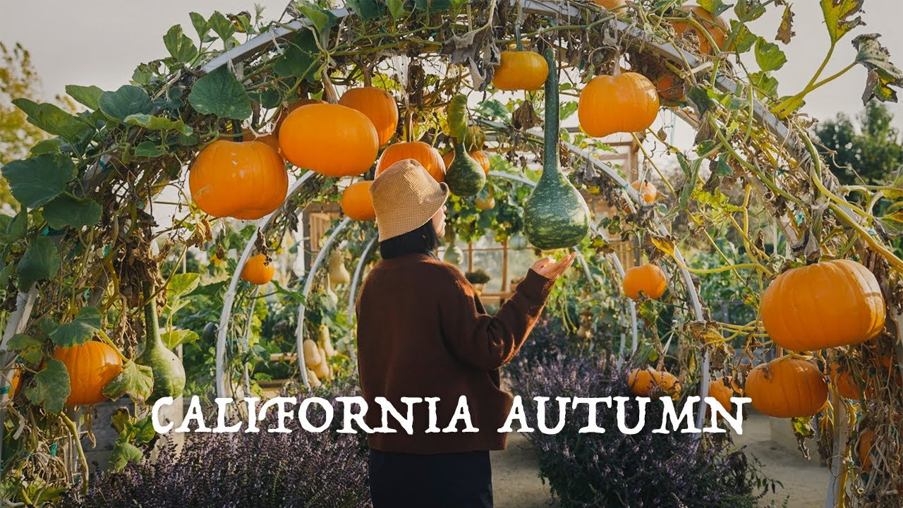 Slow Autumn Life in the California Countryside｜Garden tour to Cornerstone｜Backyard gardening