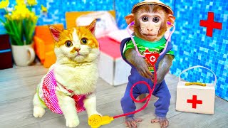 Smart Monkey Bi Bon Take Care Of Cheese Cat And Puppy With Duckling Animals Home Monkey Videos
