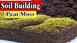 Everything You Need to Know About Sphagnum Peat Moss