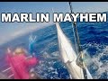 Family Marlin Mayhem