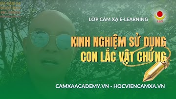 KINH NGHIỆM SỬ DỤNG LẮC VẬT CHỨNG (+84) 981 559559 | CẢM XẠ VẤN ĐÁP | HƯỚNG DẪN CẢM XẠ ONLINE.