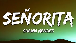 Shawn Mendes, Camila Cabello - Señorita (Lyrics / Letra)