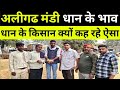 धान का भाव अलीगढ मंडी क्या भाव विके धान #paddybhav #dhaankabhav #mandibhavaligarh