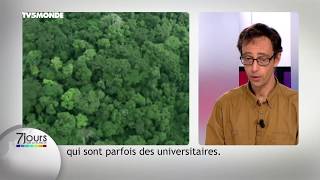 Déstresser aux côtés des arbres, avec Jean-Marie Defossez