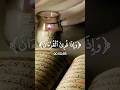وإذا قرئ القرءان بصوت الشيخ فارس عباد