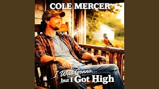 I Was Gonna...But I Got High