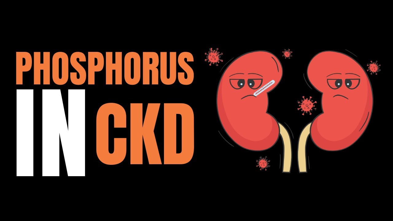 Unlocking the Secrets Phosphorus, Kidney Health, and High Phosphorus