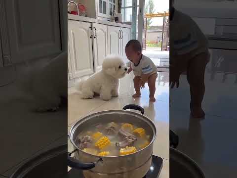 This puppy is <strong>a</strong> natural <strong>at</strong> soothing babies!