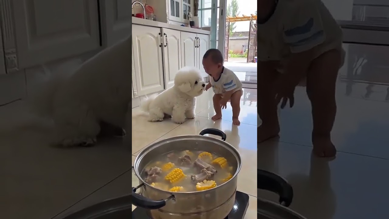 This puppy is a natural at soothing babies!