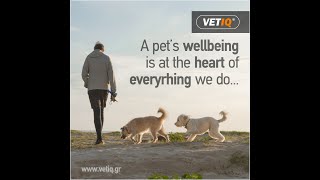 VETIQ (M+C) Greece | Βοηθήματα Συμπεριφοράς & Εκπαίδευσης
