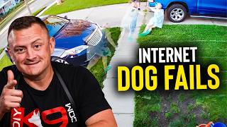 Dog Trainer Reacts To The Internet's WILDEST Dog Videos!