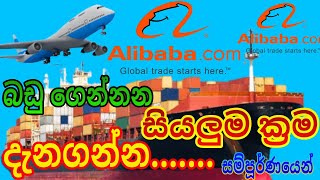 #E_world_money#alibaba                                    How to buy goods from alibaba.com  Sinhala