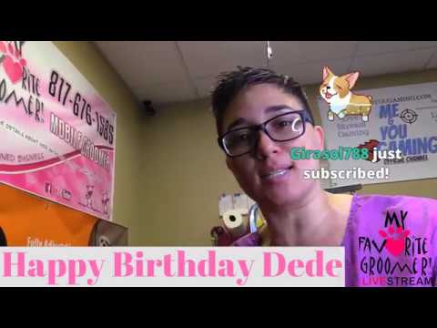 fast pet grooming Dog Grooming At A Dog Salon Dede's Birthday