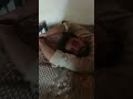 short video #bestsignalsgroupquotex #tradingquotexwithdrawlproof