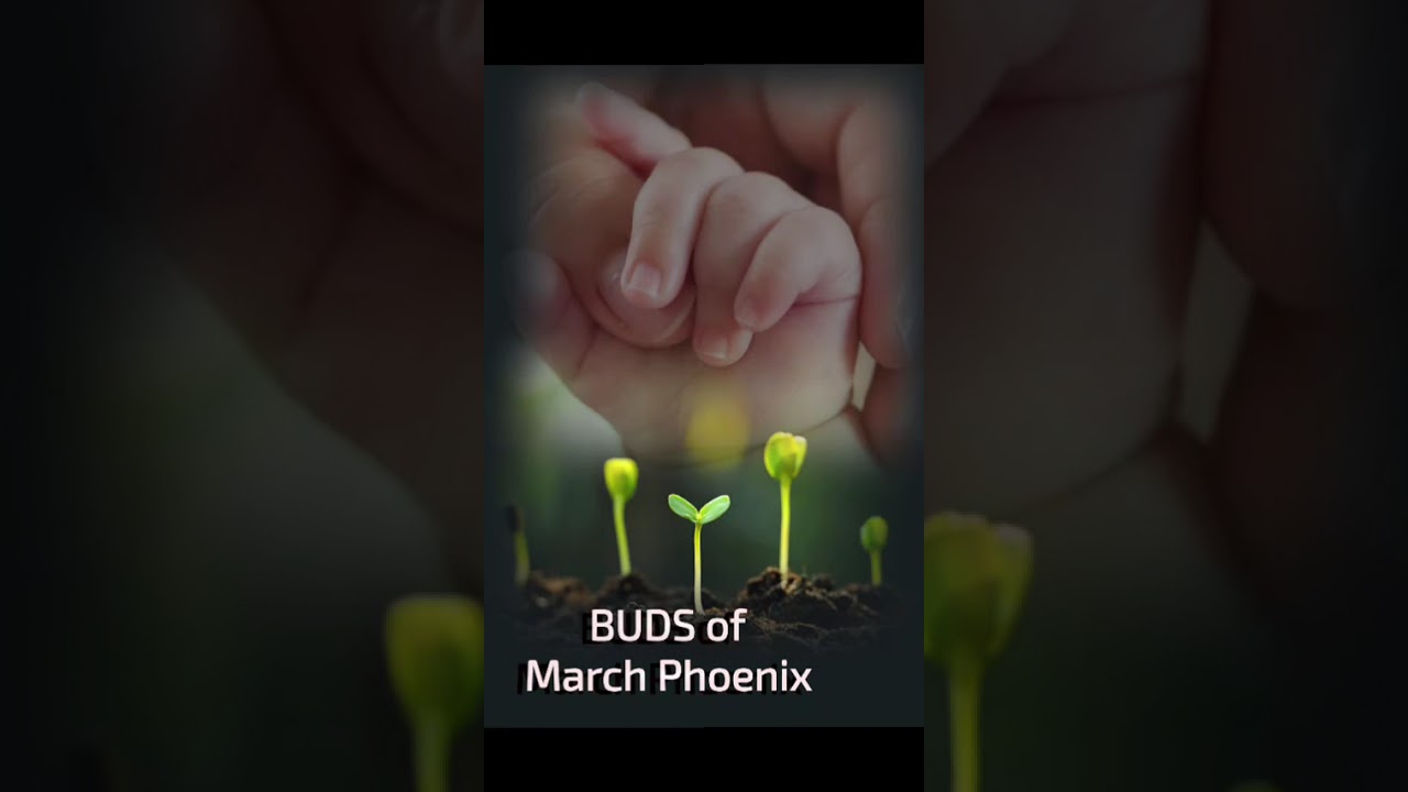 BUDS of March Phoenix