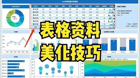 【Excel技巧】Excel表格资料的美化技巧（xx项目分析报告）