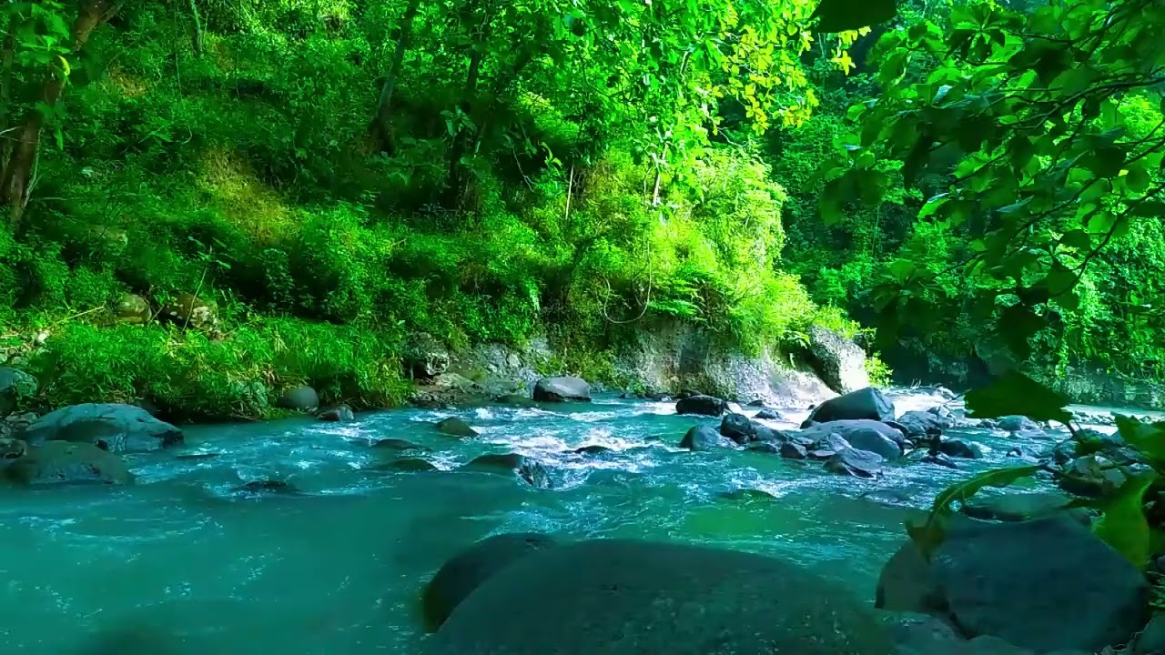 Ambient Water Sounds of a Flowing Stream | Nature White Noise for Sleep, Focus, and Healing