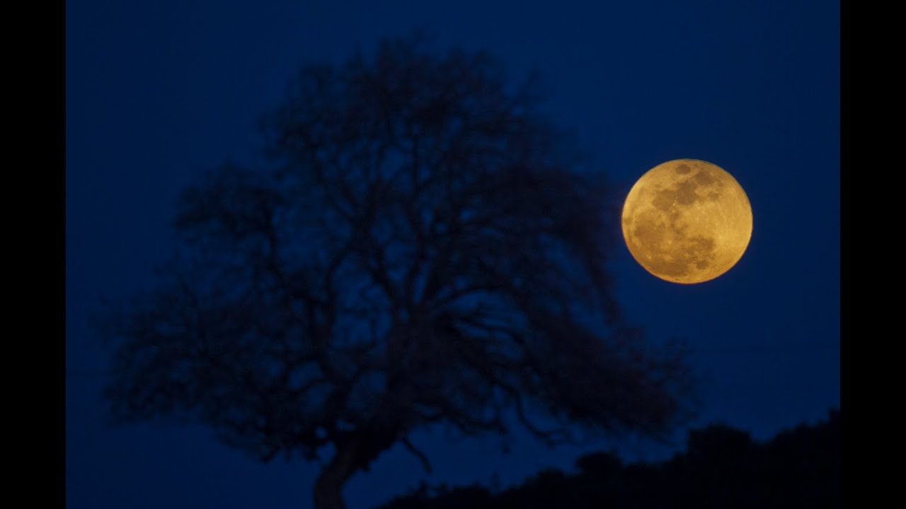 NASA invites people to fly their name to the moon