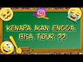 10 Teka Teki Lucu dan Menjebak Part 10 #Kuiz Jenius #Tes Jenius