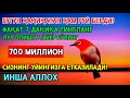 🔴 Расулуллоҳ Ҳар Кеча Уқир Эдилар – Сураи Мулкнинг Фазилати!