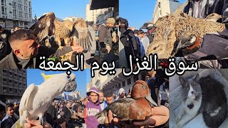 سوق الغزل يوم الجمعة انواع الحيوانات والطيور مخلوقات اول مره تشوفوها 2023/12/15