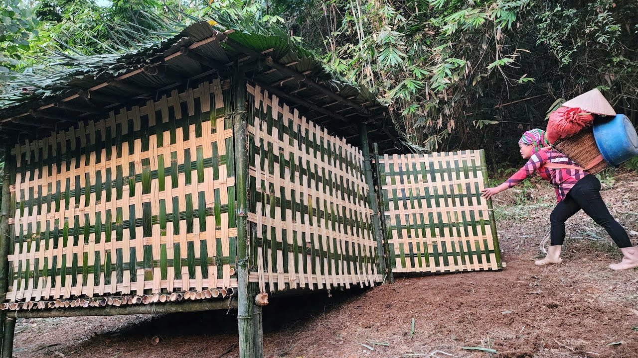 The girl takes on a survival challenge: Building a bamboo house in the forest for shelter.