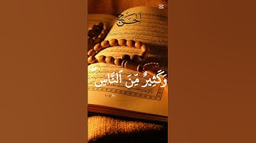 سورة الحج ياسر الدوسري#ياسر_الدوسري #اكسبلور #الرحمن #القران #المصحف #الظروف #لايك #العظماء