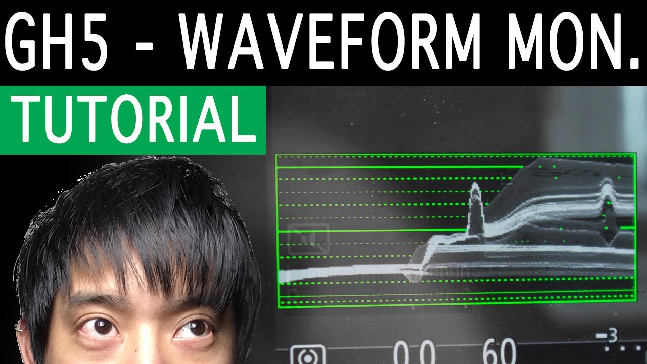 Вам НУЖНО это изучить: Монитор формы сигнала GH5
