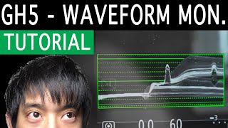 You NEED to learn this: GH5 Waveform Monitor