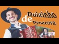 Ruizinho de penacova  roseira enxertada