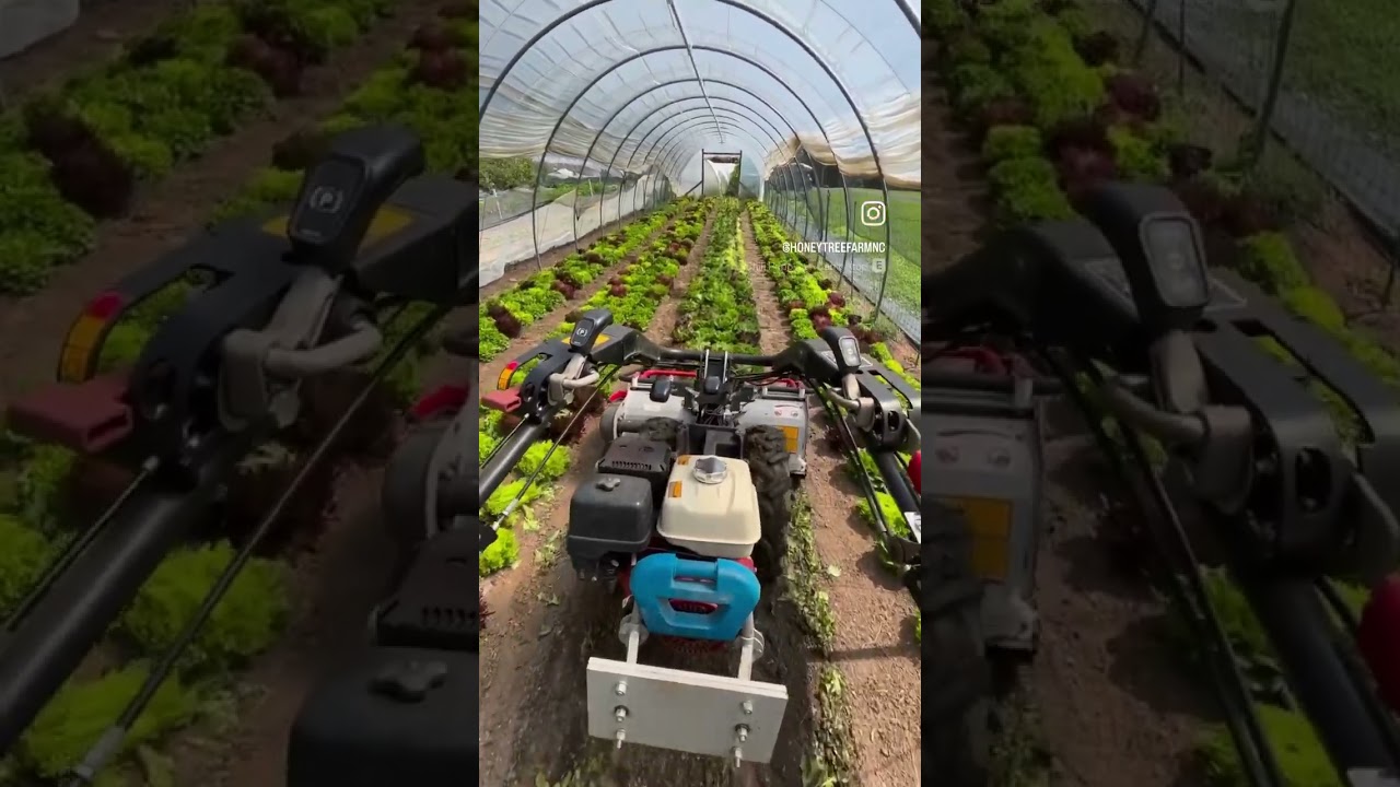 Salad bed flip 🤘 ready for the next crop. Love the flail mower!