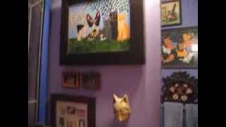 The famous Cat House in San Diego