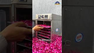 ₹10 ka Gulab ➝ ₹500 ka Rose Powder 😳 | Dehydrator Machine Business Idea | High Profit