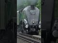 THUNDERING LOCOMOTIVE Steams Up The Grade #train #railway #steamtrain #trainspotting #trains