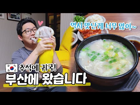 I returned home and went straight to Busan. I ate, shopped, and ate again in Seomyeon and Nampo-d...