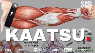 THIS is The ORIGINAL Blood Flow Restriction | Supertraining in a Year (Pages 541-550)