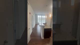 C Street Flats Apartments Laurel MD 1 Bedroom 1 Bathroom "The Standard" Floor Plan 550 Sq. Ft.