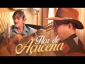 Goianito & Paraná - Flor de Açucena