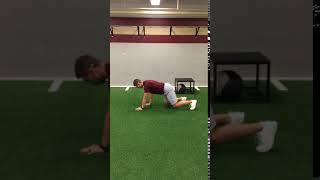 REVERSE BEAR CRAWL