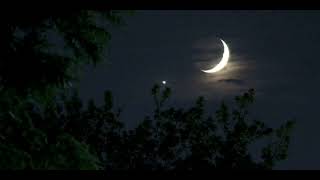 Famy  Ava sped Up 1 Hour