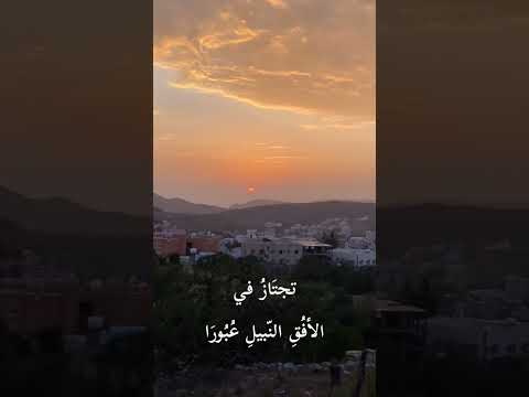 أيامنا نحو الأماني سيرها Shorts Durecorder Sohaalikhan Souravjoshivlogs Share Mbc Tiktok Tip