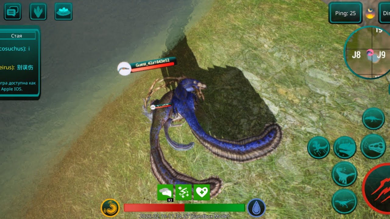 20 февраля 2026 г.