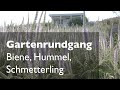 Gartenrundgang im Juni: Biene - Hummel - Schmetterling