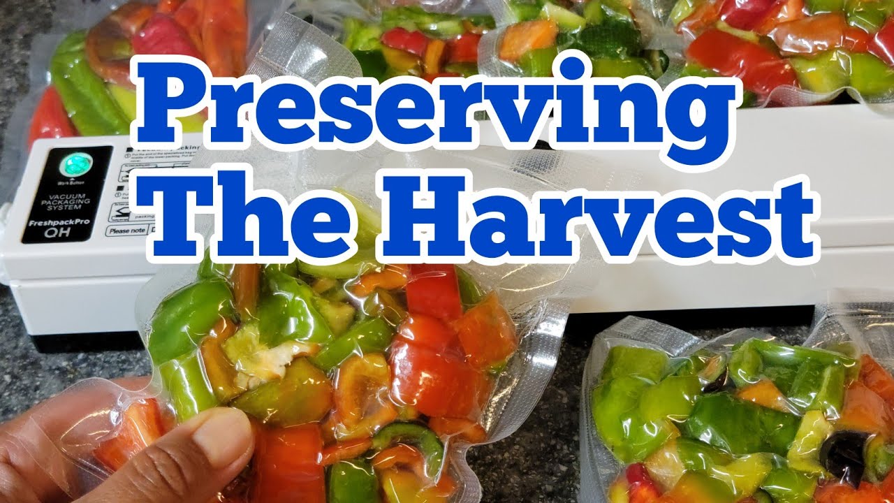Preserving The Harvest Vacuum Sealing and Freezing YouTube