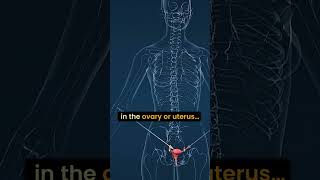 Period Blood Doesn’t Show Everything Inside Your Body | Vaginal Scan Explained