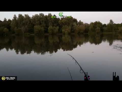 Delkim Screamer on Nash Scope 10ft 3.25lb TC