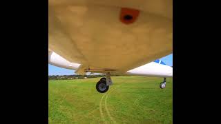 Planeprint L-39 Landing #3dprinted #rc #rcplane #aviation #landing #lwpla #l39 #edf #edfjet #fms