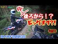 BMWF800GS 乗りと キャバレロスクランブラー500 で初ホーム林道走ってきた！PART1  #fantic #scrambler FlatManmotovlogs 林道モトブログ鹿児島#241